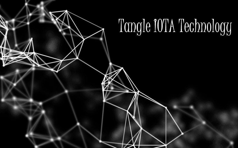 Kalibroida provides you solutions for iota tangle technology development solutions for your business